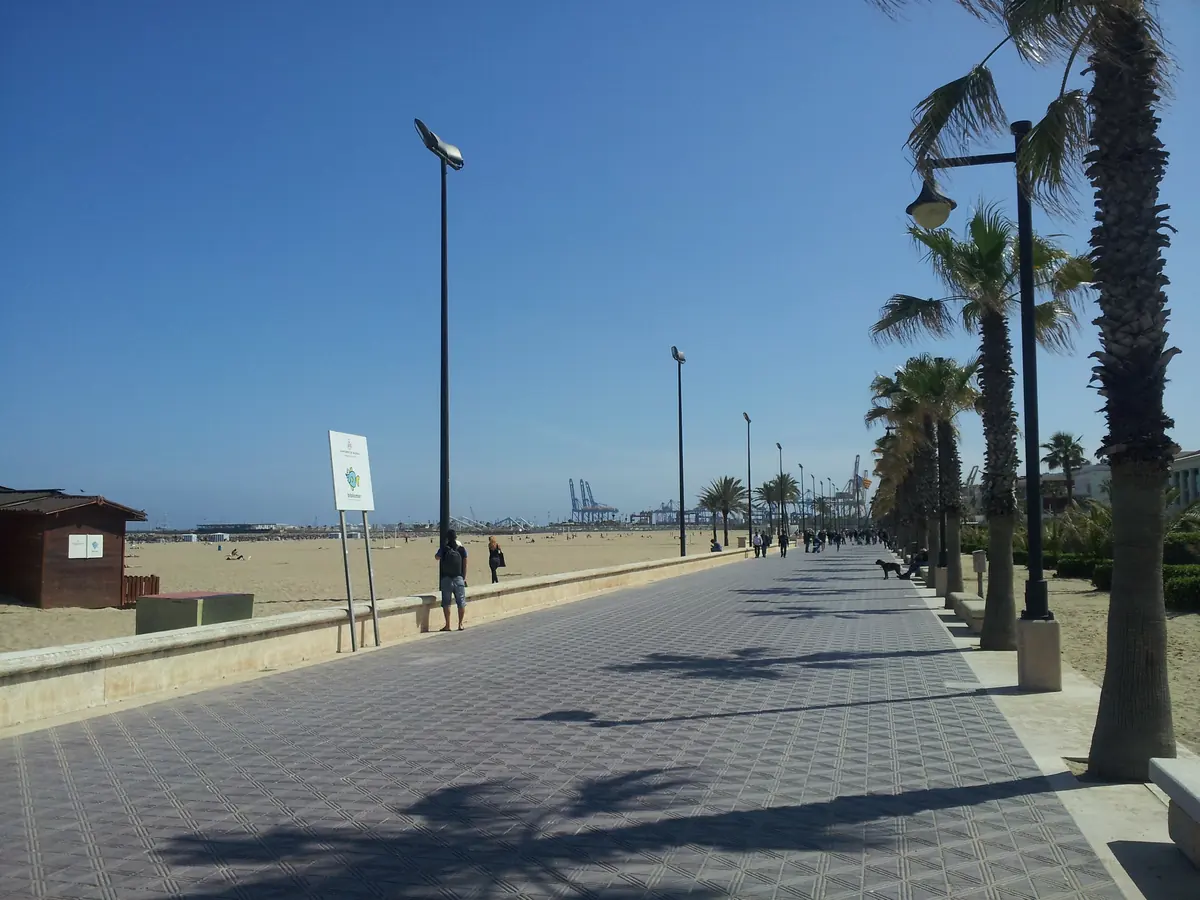 The seafront promenade at El Cabanyal in Valencia, lined with palm trees under a blue sky